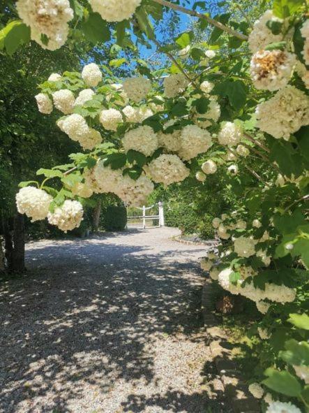 Le Clos De La Rose Gite Bien Etre Wirwignes Zewnętrze zdjęcie