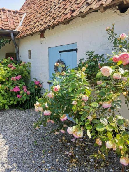 Le Clos De La Rose Gite Bien Etre Wirwignes Zewnętrze zdjęcie